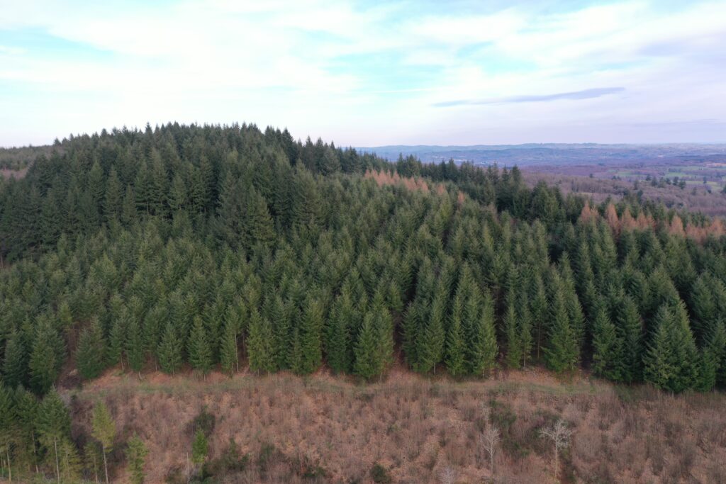 Vue aérienne de la forêt les Mont de Blond (Haute-vienne)